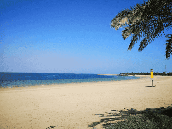 باقة جولة في جزيرة تاروت (4)