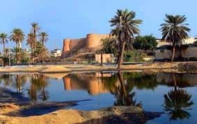 باقة جولة في جزيرة تاروت (5)