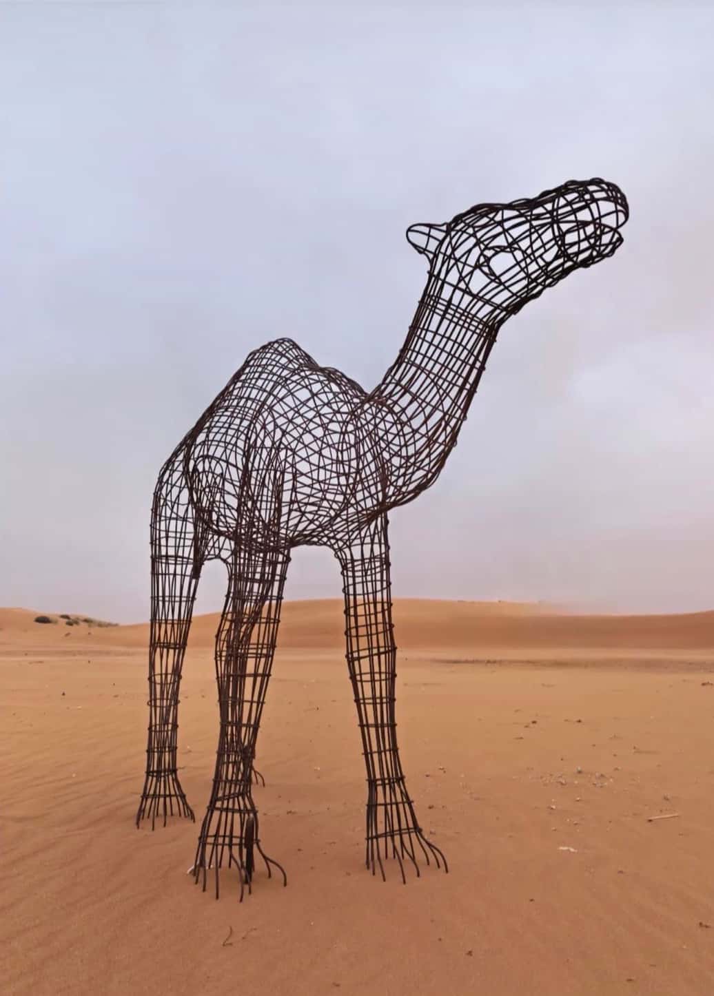 مشي وسمرة (3)