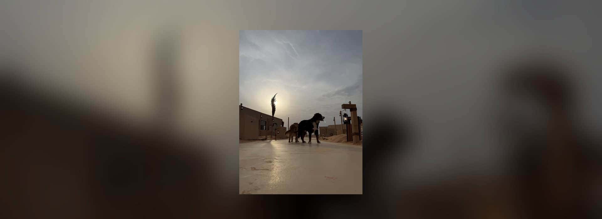 أهلًا بالصيف: النسخة الاستوائية (1)