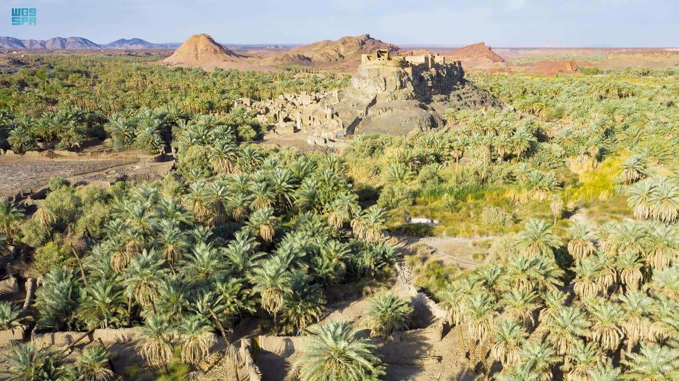 Khaybar Journey from Jabal Ayr (4)