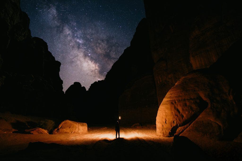 The Hologram Wildlife Experience: A Revolutionary Journey into Nature