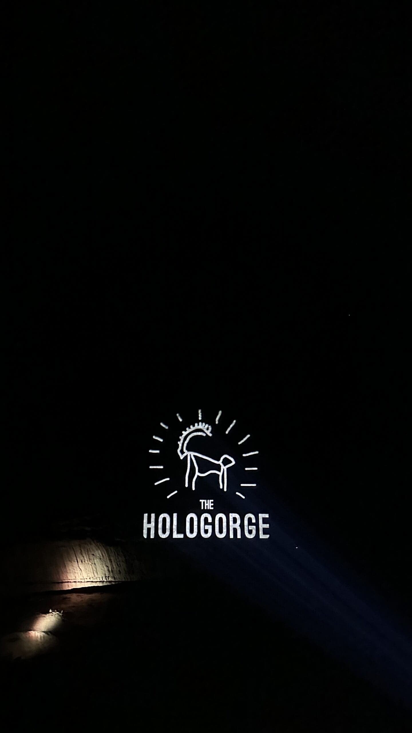 Hologram