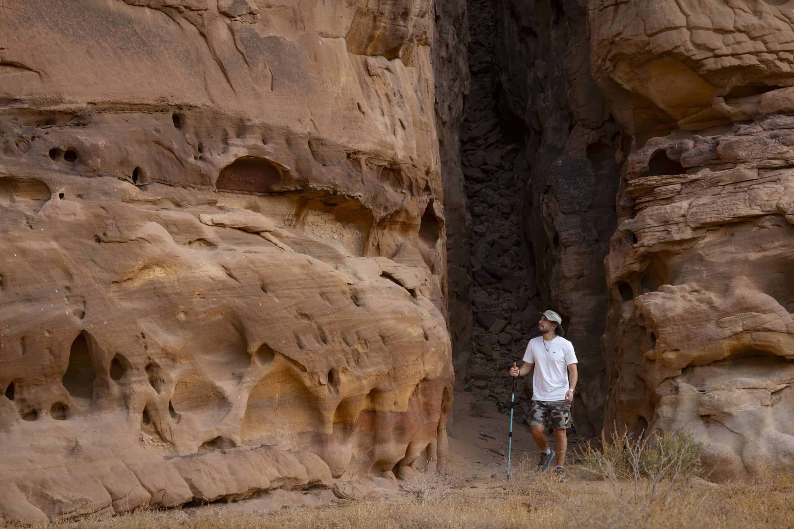 Sharaan Safari: A Journey Through AlUla’s Untamed Beauty