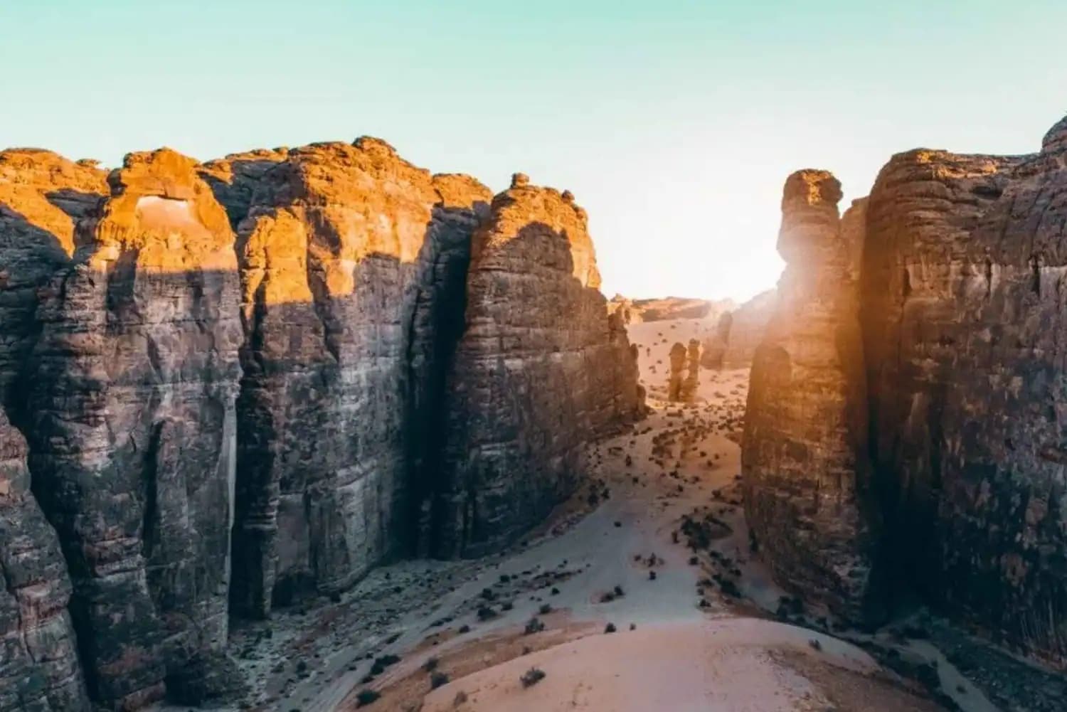 Sharaan Safari: A Journey Through AlUla’s Untamed Beauty