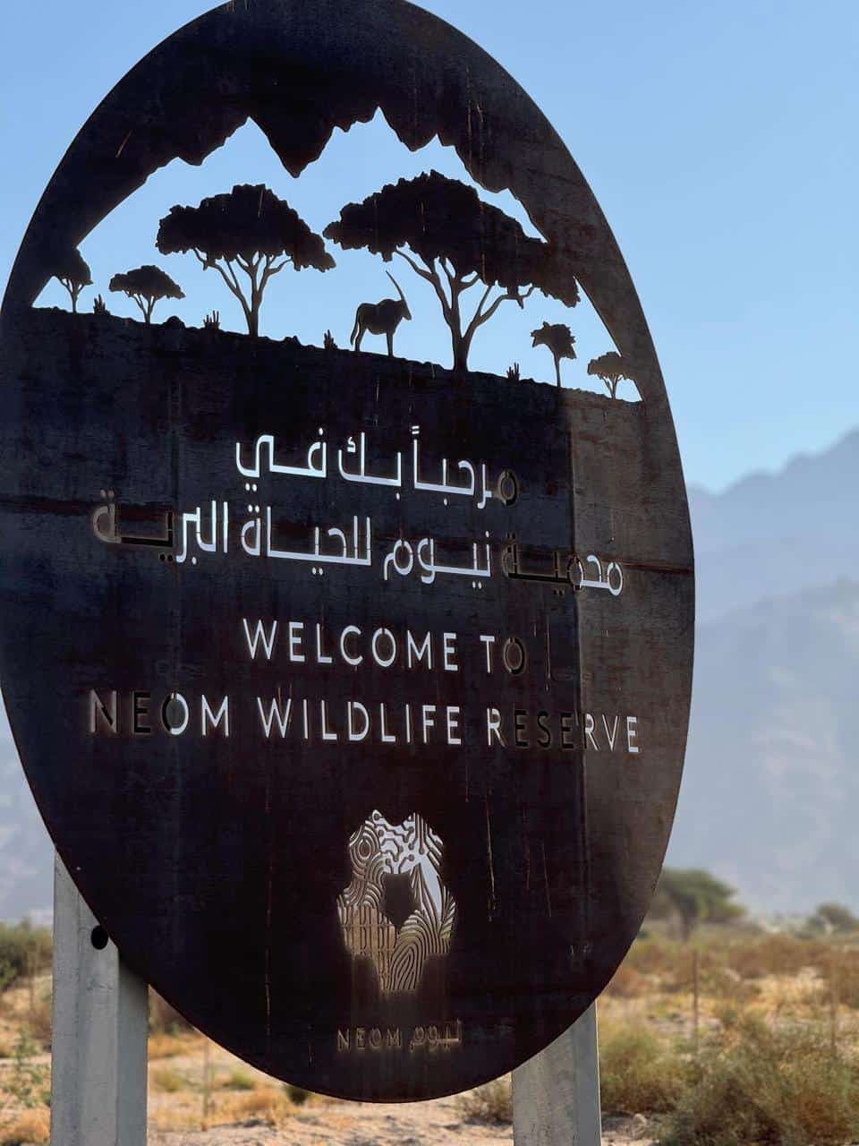 Children of NEOM employees taking part in an outdoor PANGAEA adventure activity