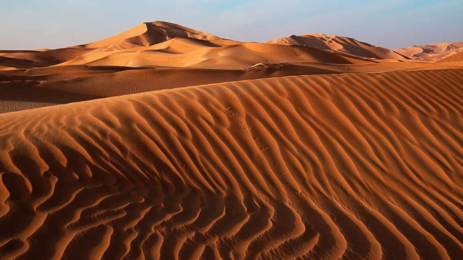 المخيم في الرياض للشركات
