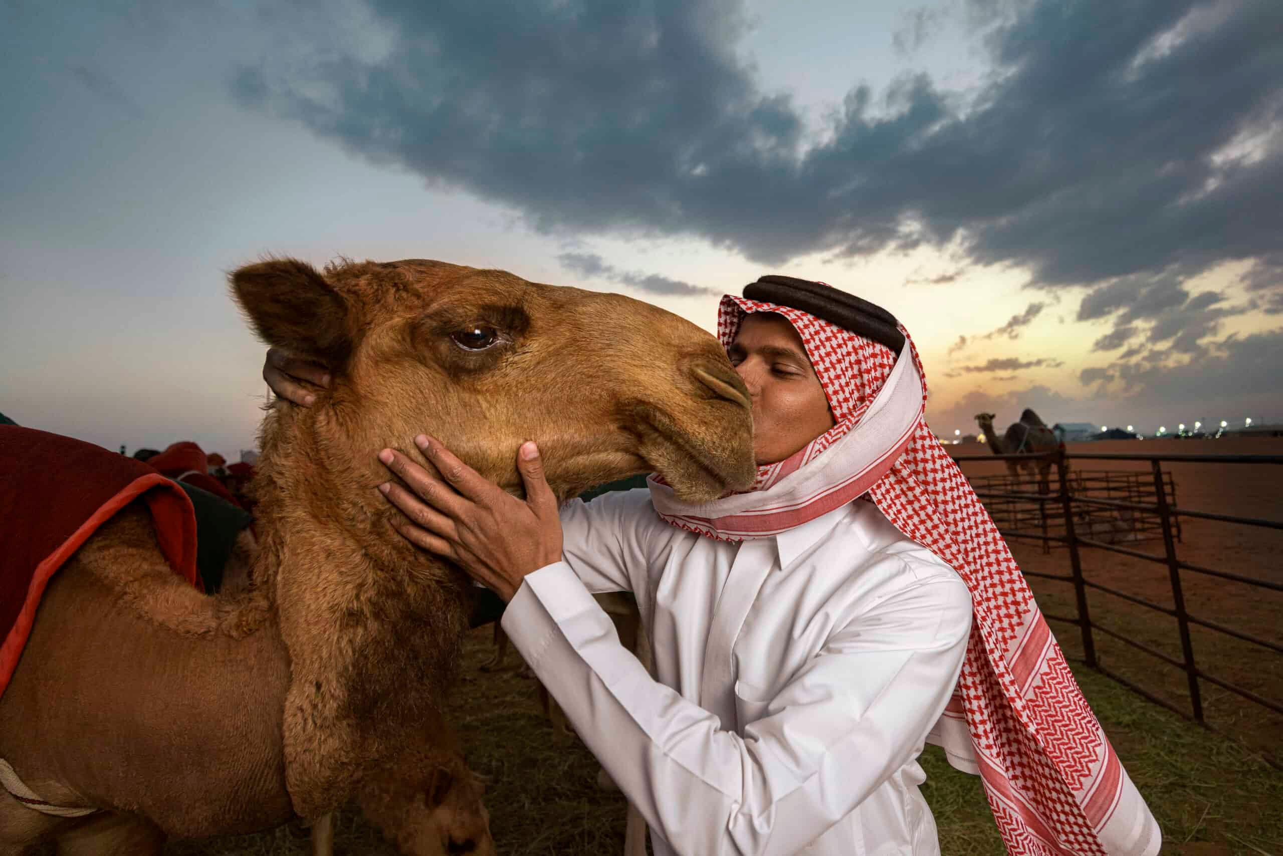 Camel Back Safari