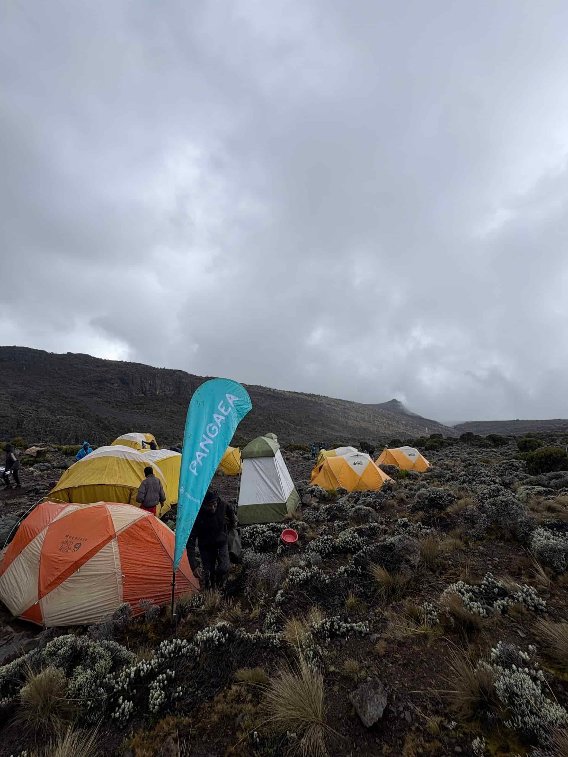 Climb Kilimanjaro with Saud Aleidi (2)