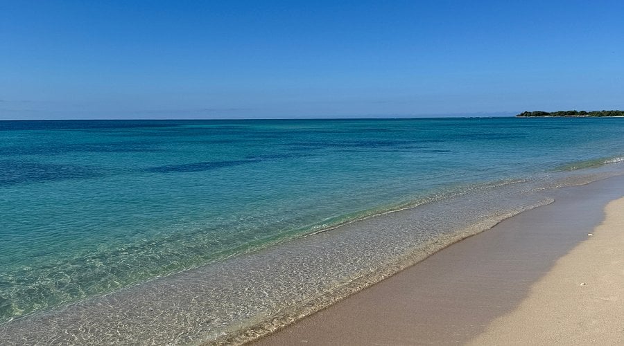 رحلة عبر الزمن (2)