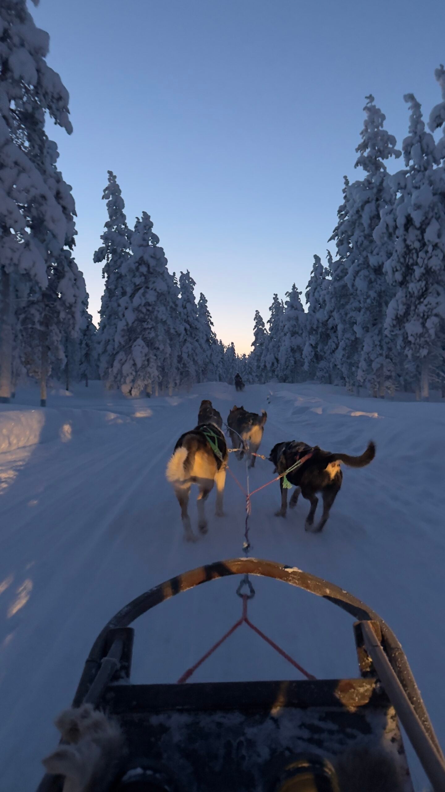Finland Rovaniemi Northern Lights Ladies Only (4)