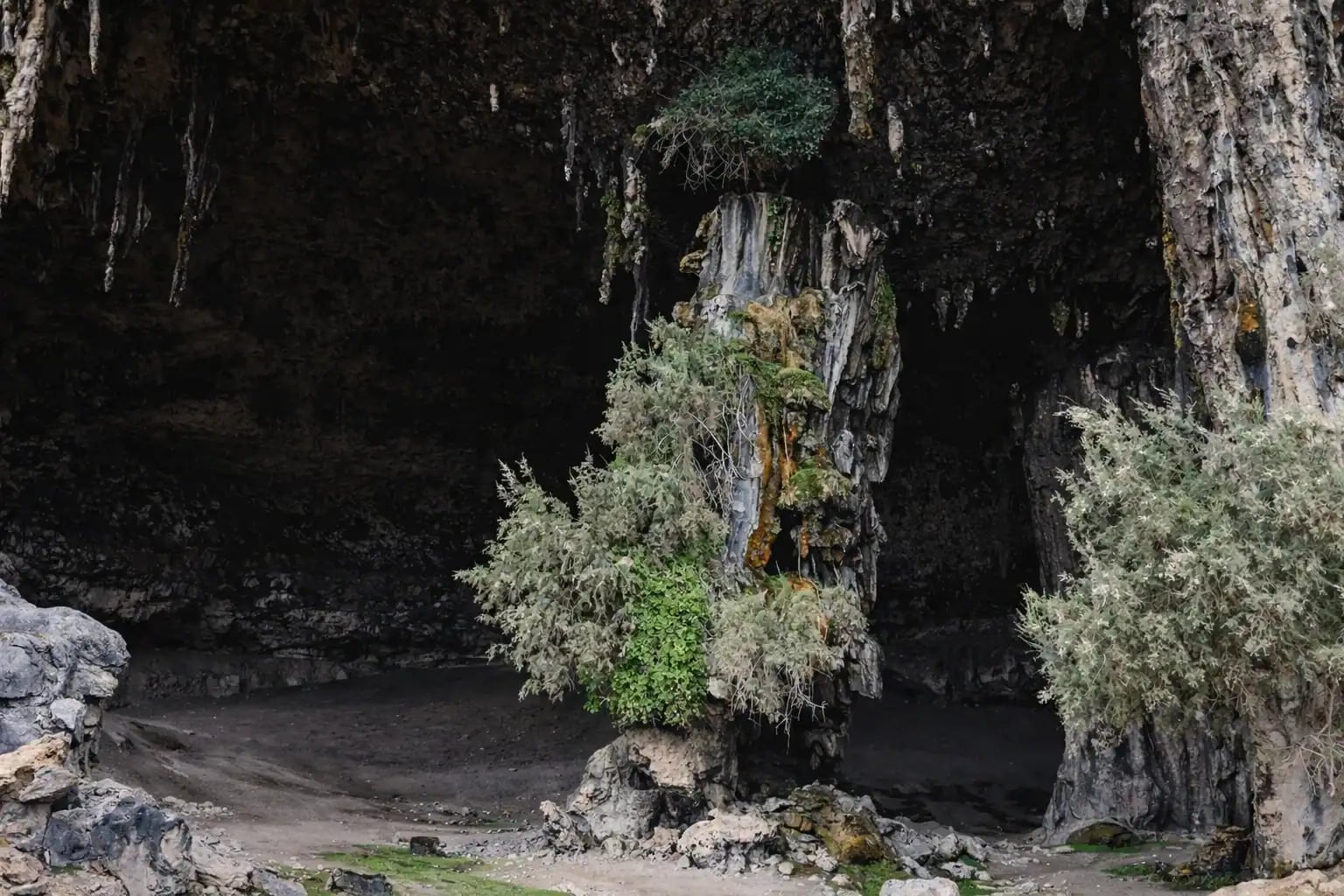 Yemen Socotra Island (3)