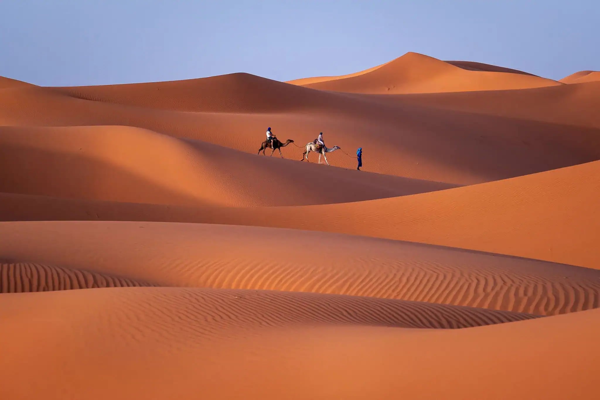 صحراء الجزائر (5)