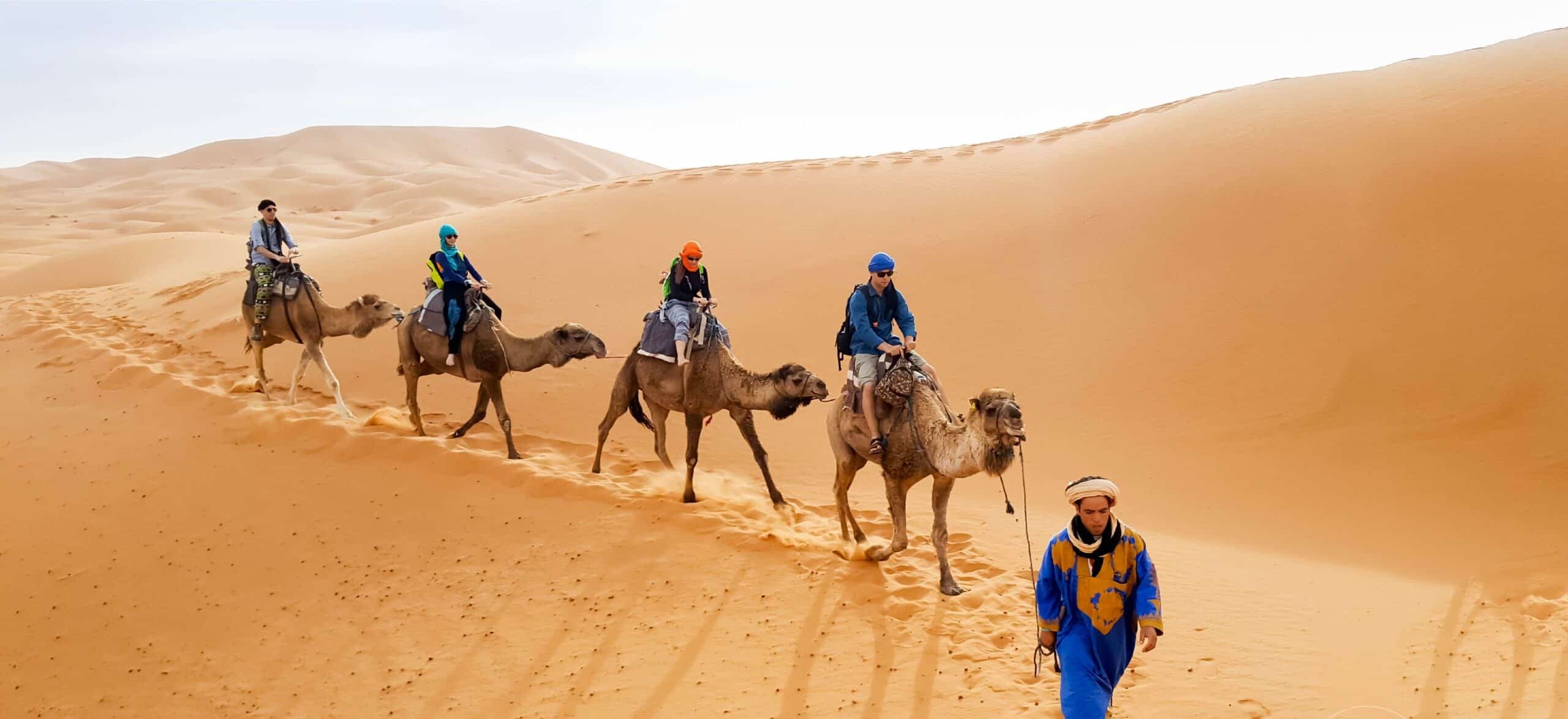 صحراء الجزائر (4)