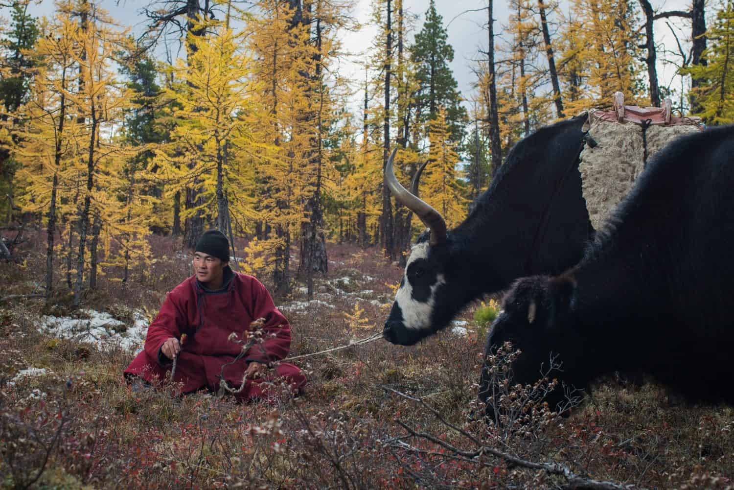 Mongolia Kazakh Eagle Hunter Adventure (4)