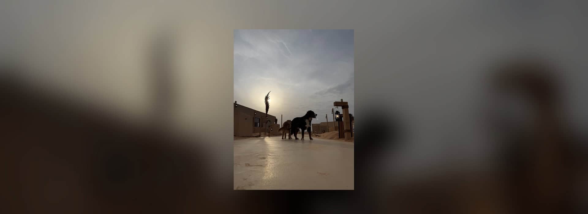 أهلًا بالصيف: النسخة الاستوائية
