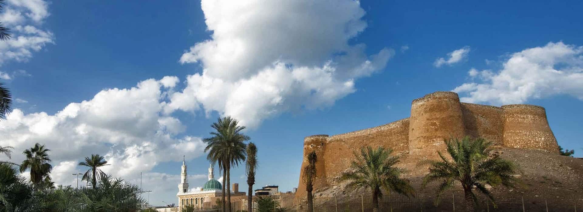 باقة جولة في جزيرة تاروت