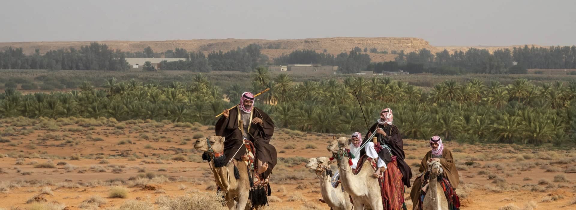 سفاري على ظهور الجمال