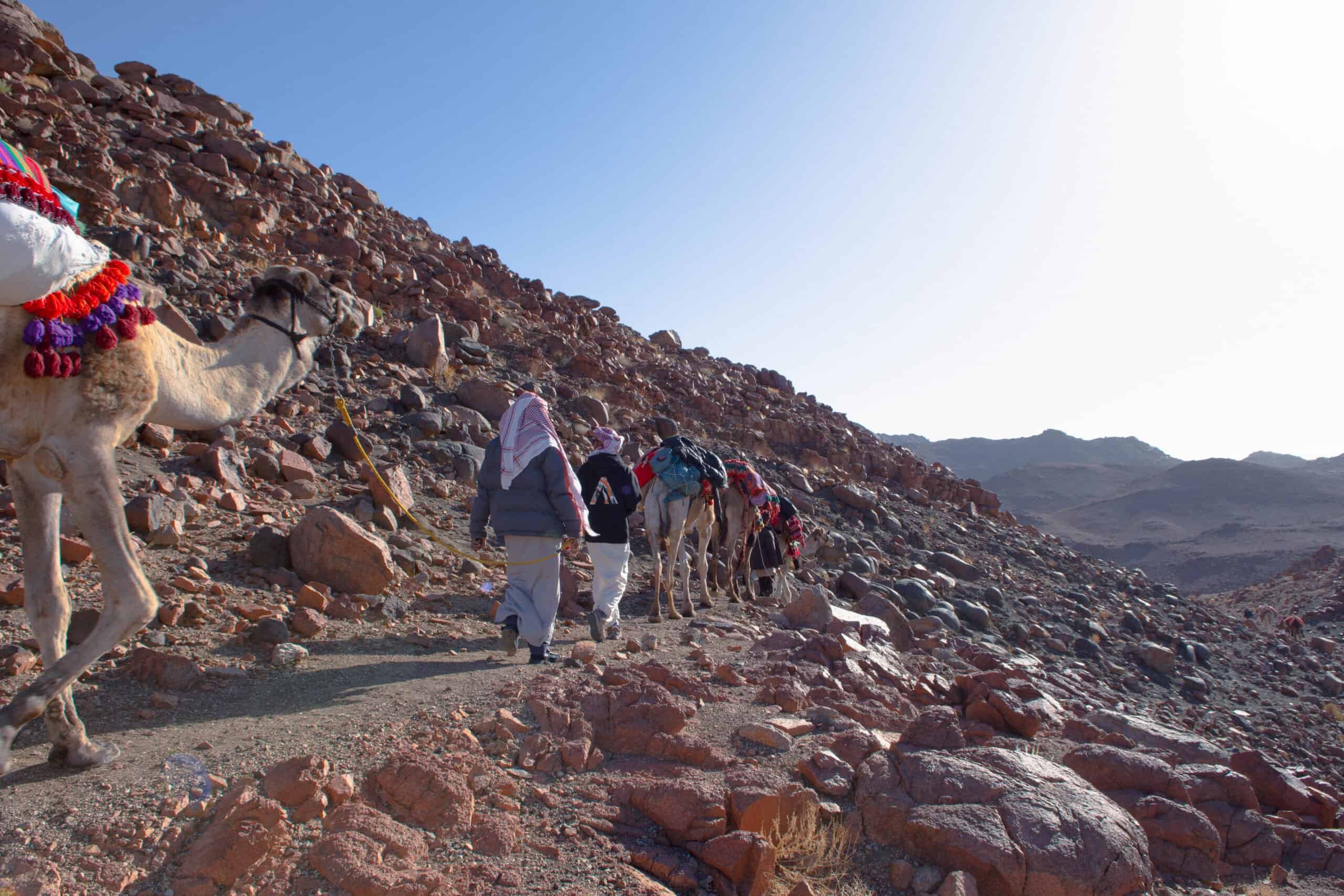 Sinai Mountains Trails (3)