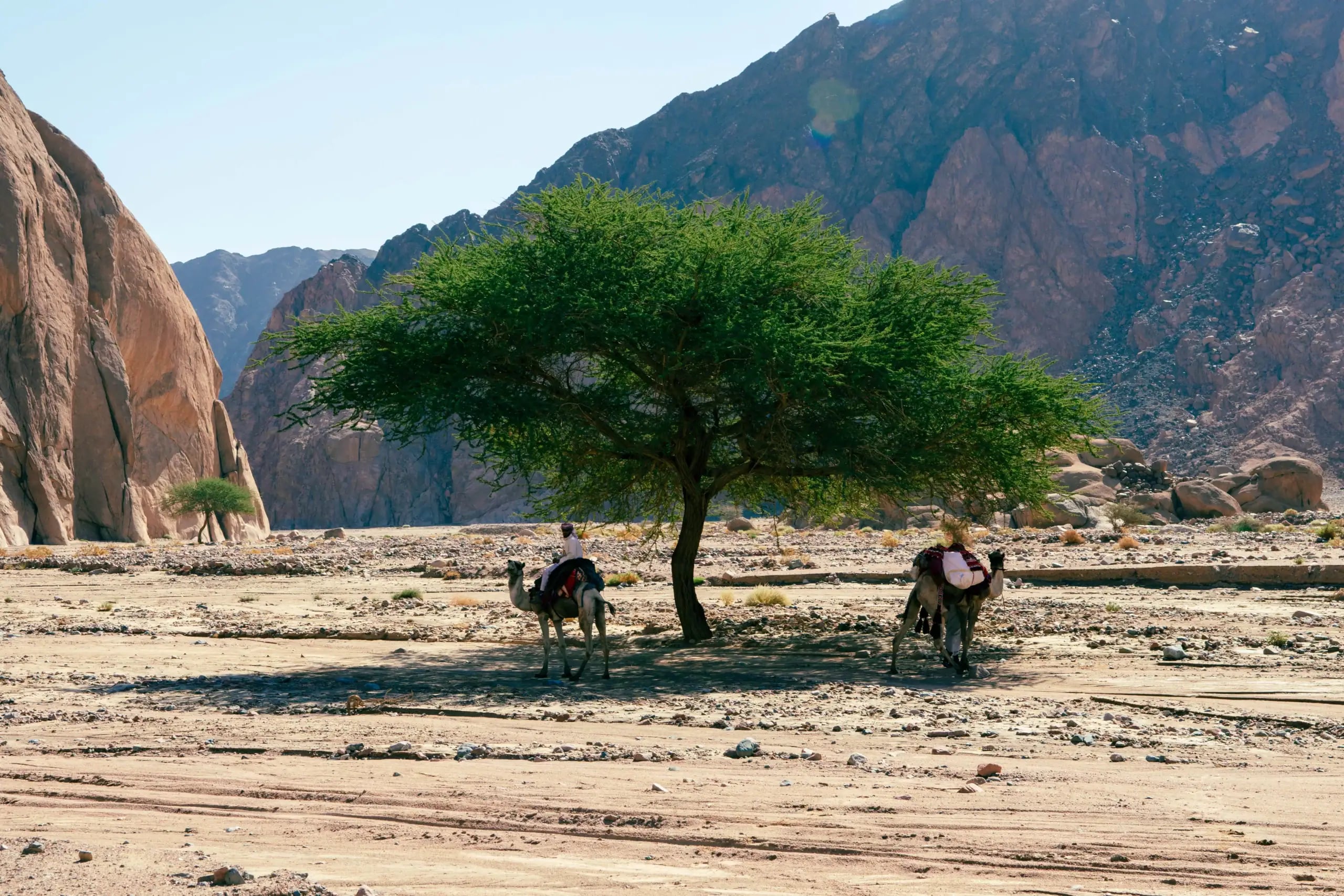 Sinai Mountains Trails (2)