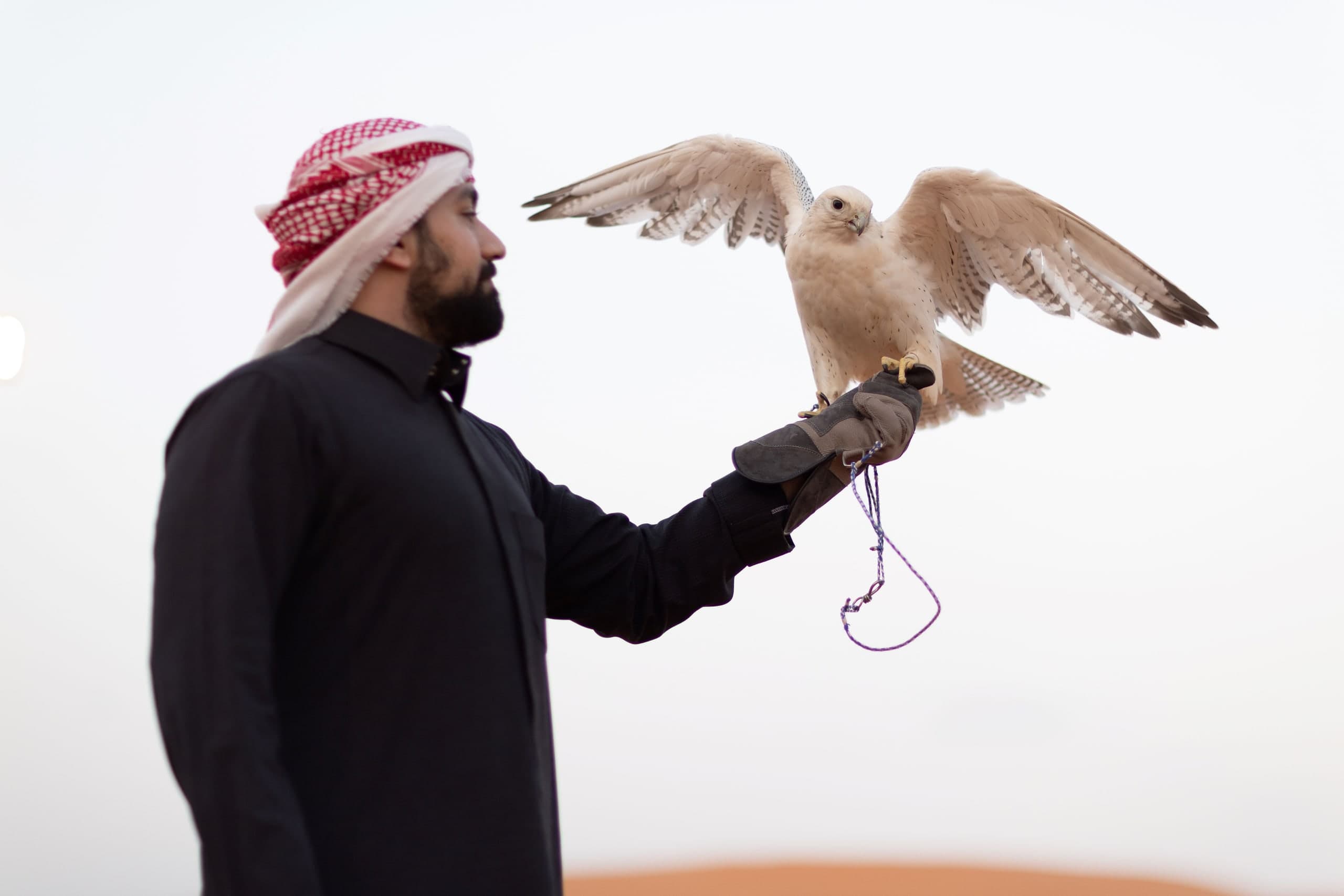 Saudi guides engaging with international university students