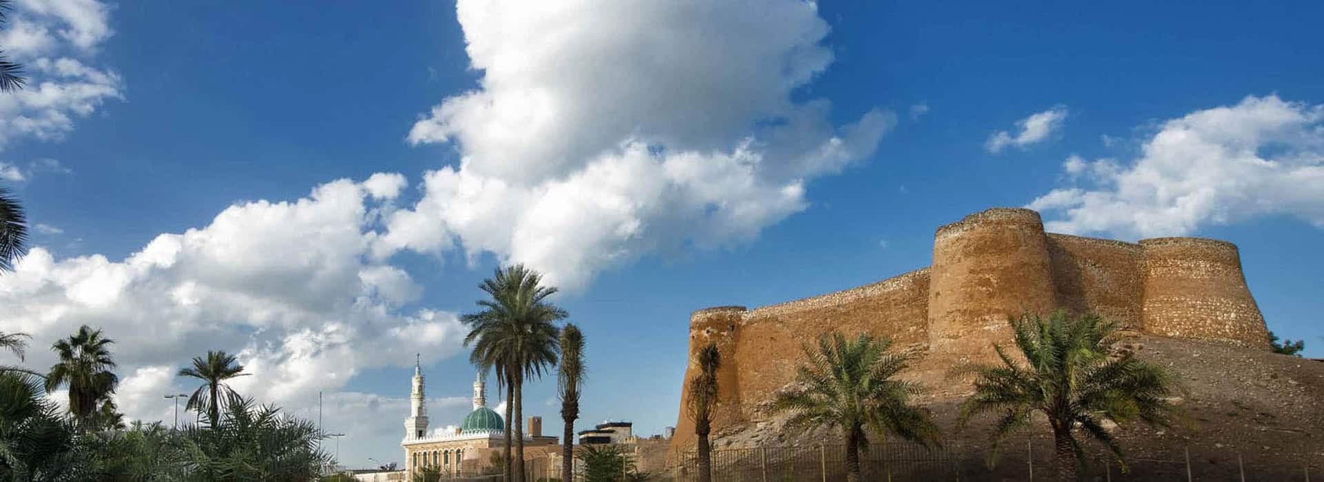 باقة جولة في جزيرة تاروت