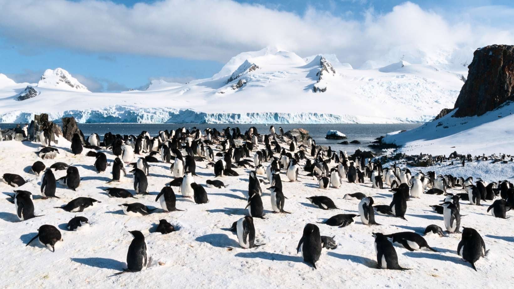 Drake Passage (1)