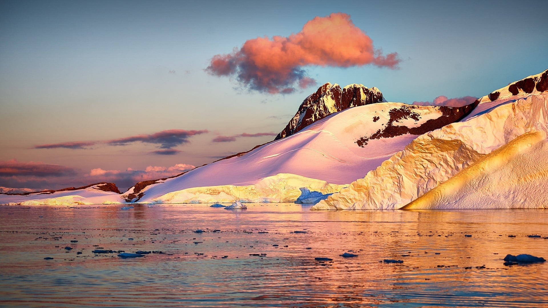 Antarctica (and Whales) Await (1)